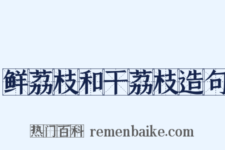 鲜荔枝和干荔枝造句是什么意思的图片